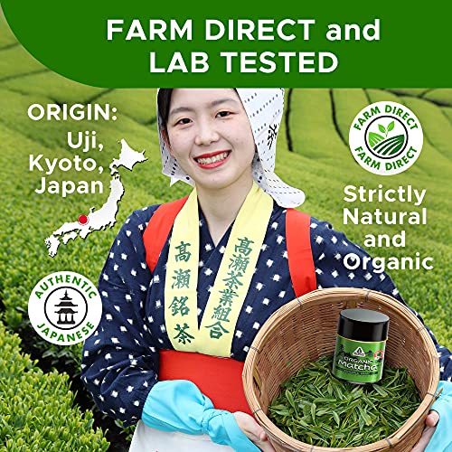 Avega Recreation Organic Ceremonial Grade Matcha Green Tea Powder