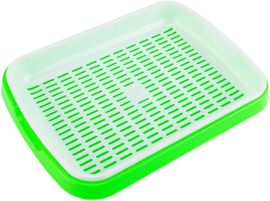 Singeru Dual layer Seed Sprouter Tray Bean Sprout Grower Seed Germination Tray BPA Free Nursery Tray for Seedling Planting for for Garden Home Office kids educational toy (Green)