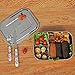 MasterChef Bento Lunch Box - Large, Stainless Steel, Compartment Meal Prep Food Container - Great for Kids & Adults