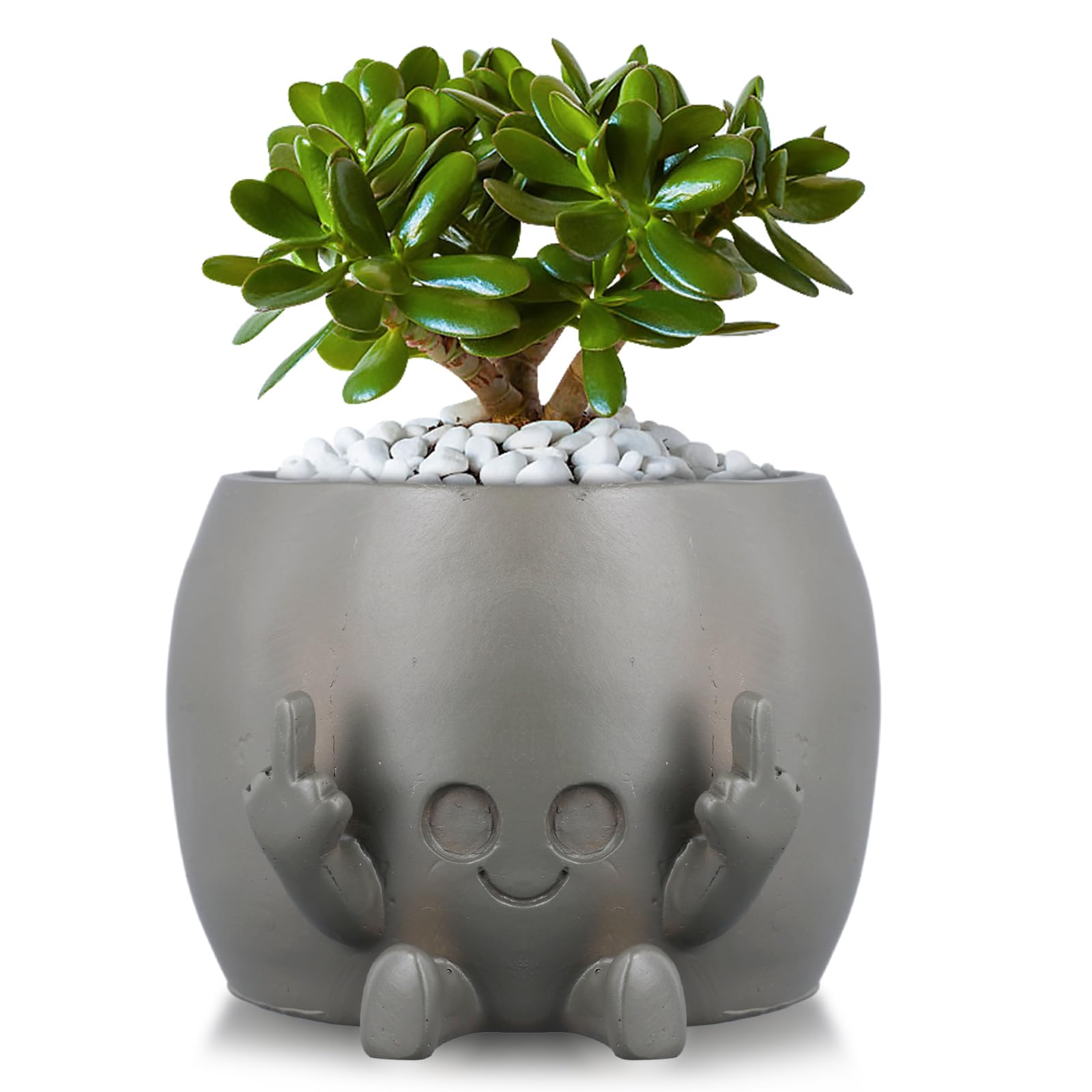 PEUTIER Smiling Plant Pot, Novelty Planter with Middle Fingers Funny Resin Flower Pots Smiling Face Planter Pot Creative Decorative Flowerpot Succulents Pots for Home Living Room Garden Decor (Gray)
