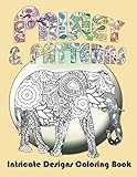 Paisley and Patterns: Intricate Designs Coloring Book