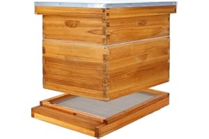 BEEKNOWS 10 Frame Beehive Kit with Screened Bottom Board Dipped in Heavy Beeswax, Bee Hive Boxes Starter Kit for Bee Keekeepers - Langstroth Beehive Kit with 2 Honey Bee Hives Boxes
