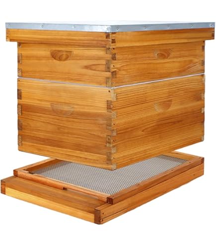 BEE-HIVE フライヤー 61hQudRLXWL._AC_SY200_QL15_.jpg