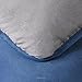 LINENSPA Reversible Down Alternative Comforter and Duvet Insert - All-Season Comforter with Box Stitch and 8 Duvet Loops - Bedding for Kids, Teens, and Adults – Navy/Graphite - Twin XL