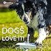 GoodBoy Water Fountain for Dogs – Interactive Paw Pedal Design Stimulates Pets and Keeps Them Cool – New Durable Leak-Proof Dispenser – Keeps Furry Friends Healthy Happy and Hydrated!