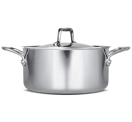Treo by Milton Triply Stainless Steel Casserole with Lid, 20 cm / 3000 ml
