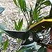 Premium Bypass Pruning Shears- 8'' Professional Hand Pruner- Heavy Duty Garden Clippers- Sharp Blades - Lightweight Tree Trimming Tool