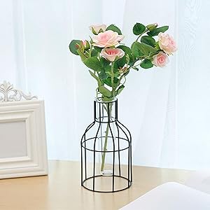 EKDJKK Metal Frame Vase Tube Glass Planter with Geometric Black Metal Stand,Office Desktop Home & Office Decor Handmade