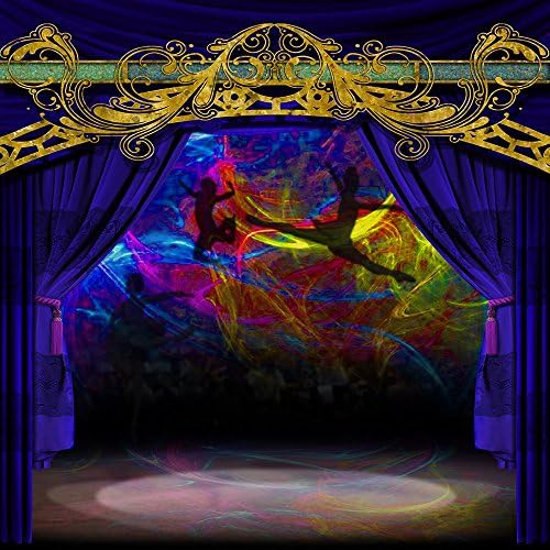 Photography Backdrop - Le Cirque Performers - 10x10 Ft. Seamless Fabric