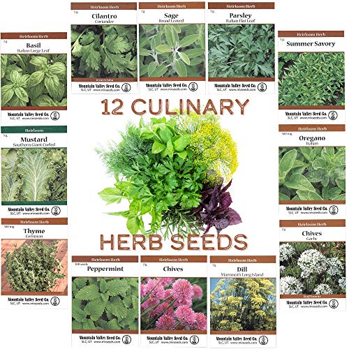 Assortment of 12 Culinary Herb Seeds - Non-GMO | Grow Cooking Herbs: Parsley, Thyme, Cilantro, Basil, Dill, Oregano, Sage & More