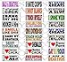 NEW rude BUMPER STICKERS prank funny offensive 8 MAGNETIC
