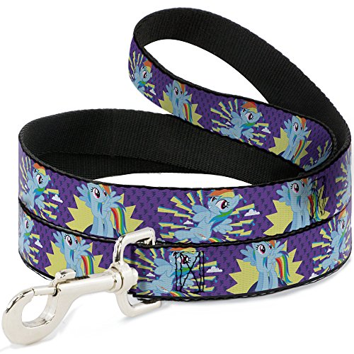 Buckle-Down "Rainbow Dash w/Lightning Purple Pet Leash, 6' x 1"