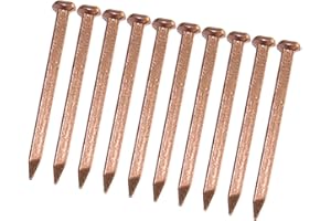 Bothyi Copper Nails 10 Pieces Multifunctional Hardware Sturdy Roofing Finish Slating Spikes for Trees Landscaping Home Improv