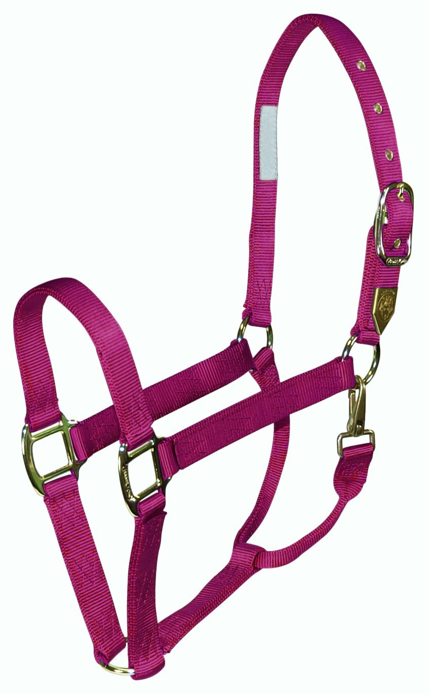 Hamilton 1 Nylon Halter with Snap, Yearling/Standard Donkey Size (300-500 lbs), Wine
