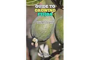 Guide to Growing Feijoa: Learn how to grow excellent Feijoa