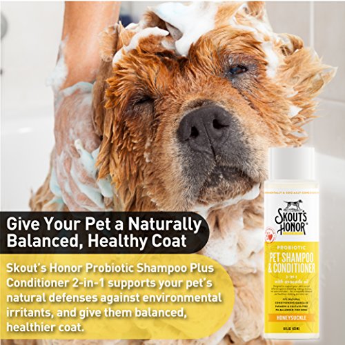 SKOUT'S HONOR Pet Shampoo and Conditioner Probiotic Shampoo Plus Conditioner 2-in-1 Honeysuckle - 16 fl. oz. - Cleans and Conditions Fur, Supports Petâ€™s Natural Defenses, PH-Balanced, Sulfate Free