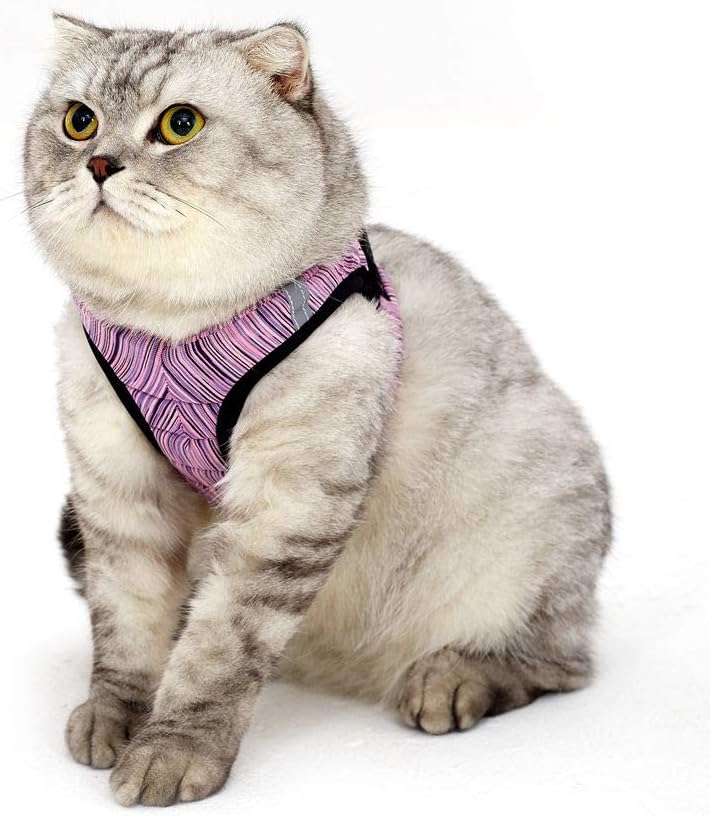 Fooubaby Soft Cushion Cat Harness with Leash for Walking Training Outdoor Escape Proof Padded Cat Vest Adjustable and Comfort for Small Medium Large Cats Pet Kitten Puppy