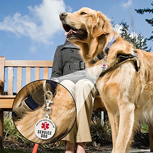 image for Lushleaf Designs The Official Service Dog ID Tag - 1.25