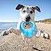 ShangjingMeixie Cute Dog Water Toys Paw Donut Design Dog Cooling Toy Pet Chew Toy Ideal Puppy Teething Freezing Toy in Summer for Small and Medium Dogs
