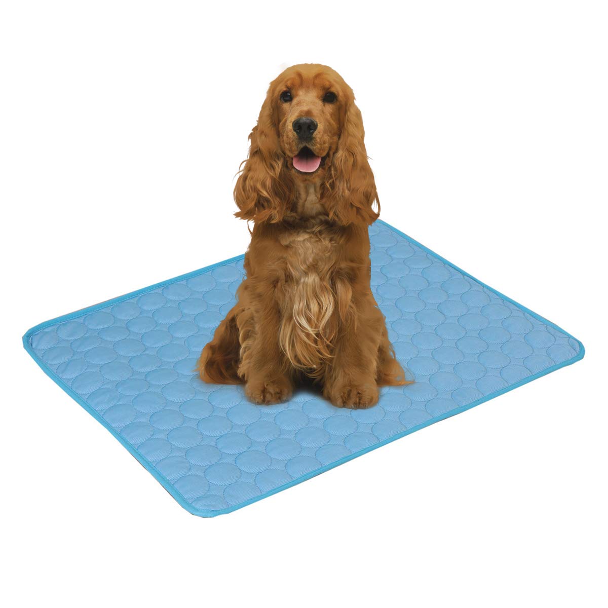 PETCUTE Cooling Pad for Dogs Dog Cooling Mat Pet Cooling Mat Pad Cool Dog Bed Mattress Crate Mat Blue Large