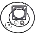 Southeastern Accessory O-Ring Replacement Kit (1998 to Present) for Sta-Rite P2RA & P2R DuraGlas/MaxeGlas Pump Rebuild Kit 54