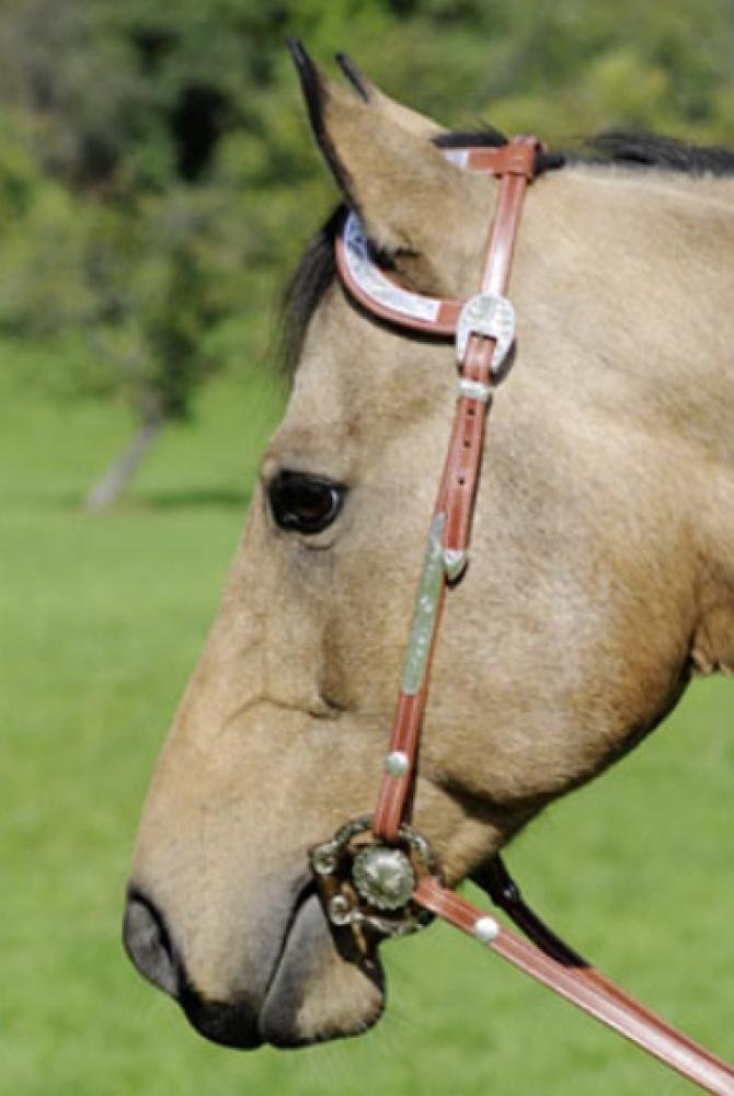 HKM 548394 2 Ear Headpiece Show with Silver-Plated Decoration, Pony, Dark Brown