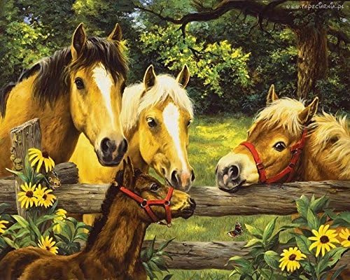 Dorara DIY Oil Painting Paint By Number Hand Paintworks 16×20 Inches Horses