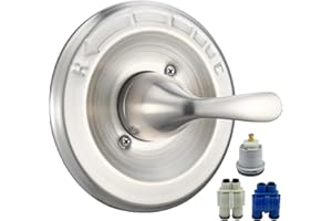 RJDIBAN Replacement for Delta Classic 13 Series Single-Function Trim Kit, T13020-SS Brushed Nickel Shower Handle, Fit Delta Shower Valve R10000 Series (2 Style of Cartridge Included)