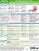 MemoCharts Pharmacology: Drug therapy for peptic ulcers (Review chart) (Paperback)