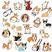 Stickers (50 PCS) Funny Stickers for Teens, Girls, Adults,Kids - Stickers for Waterbottles,Laptop,Phone,Hydro Flask - Waterproof Vinyl Sticker (