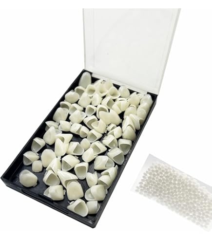Amazon.com: AmeriCan Goods Dental Polycarbonate Temporary Crowns