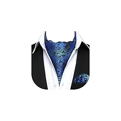 HISDERN Ascot Ties for Men Paisley Floral Ascot and
