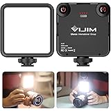 VL-81 LED Video Light w Softbox, Portable Light for Photography Cold Shoe On-Camera Video Lights CRI95+ 3200K-5600K Bi-Color