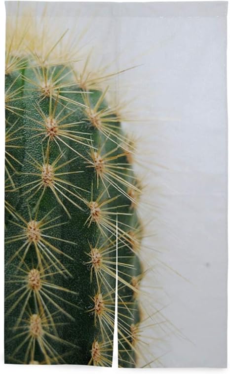 Amazon Bohomonos 間仕切り のれん サボテン植物のとげとげのある自然砂漠の庭 リビング階段や玄間 ロング暖簾 キッチン 窓 リビング おしゃれ かわいい インテリア 目隠しドアカーテン のれん オンライン通販