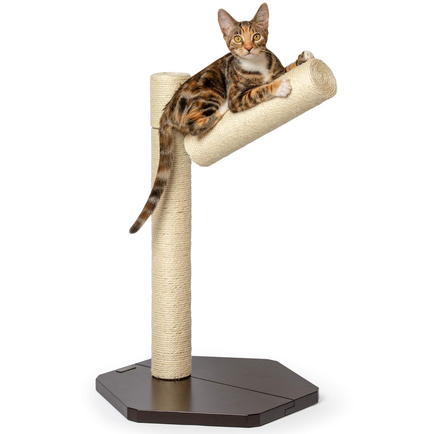 PetFusion [BranchOut Cat Scratching Post. Tall Vertical Post with