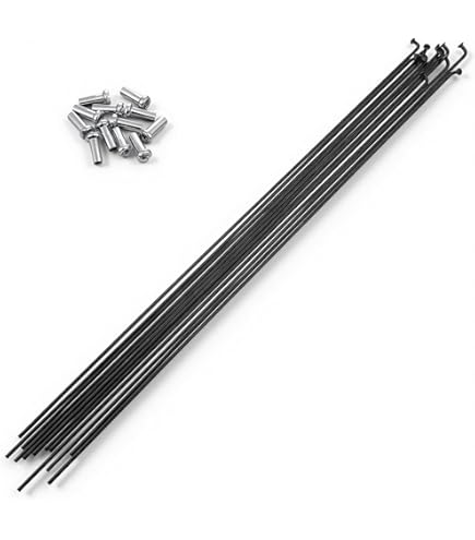 DT Swiss Revolution Rayons 2,0/1,5/2,0 - noir