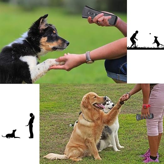 amazon prime petgentle