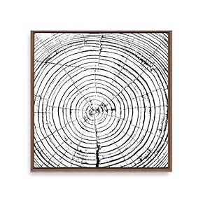 signwin Framed Canvas Wall Art Annual Trajectory Canvas...