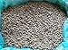 Ethiopian Yirgacheffe Washed Grade 1 Coffee Beans (Light Roast (City), 3 Pounds Whole Beans)