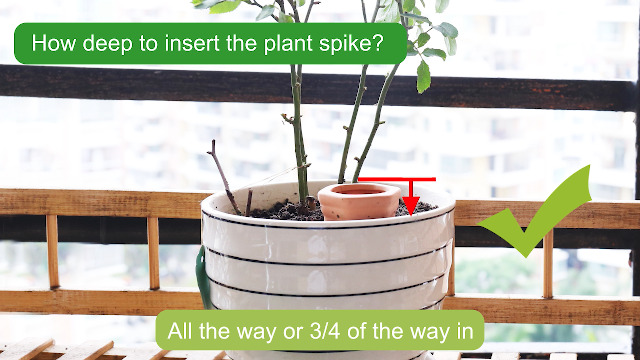 6 Watering+Devices+Terracotta+Vacation+Waterer