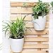Sungmor Self Watering Wall Planter - Modern White & 3PC Pack & Large Size - Indoor Outdoor Vertical Flower Pot - Wall Mounted Window Hanging Pot - Water Storage Space Design Container