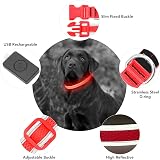 YFbrite Light Up Dog Collar Rechargeable LED Red Large view 3