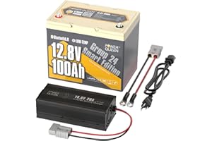 Power Queen Bluetooth 12V 100Ah LiFePO4 Battery with 14.6V20A LiFePO4 Battery Charger, Group 24 Deep Cycle Battery, 100A BMS with Low-Temp Cut-off Protection for RV, Trolling Motors, Solar System