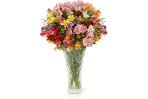 Aquarossa Farms – Flowers for Delivery, Fresh Flowers Bouquet, Handpicked from the Farm, Gift for Birthday, Anniversary, or Just Because – 24 Stem Peruvian Lilies