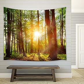 Morning Light in The Woods - Fabric Tapestry, Home Decor - 51x60 inches