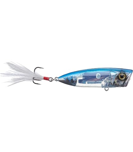 Amazon.com : SHIMANO Black Back Chart World Rush Flash Boost