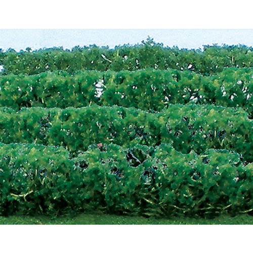JTT Scenery Products Flowering Plants Series: Flower Hedges, 5"