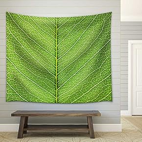 Leaf of a Plant Close Up - Fabric Wall Tapestry Home Decor - 51x60 inches
