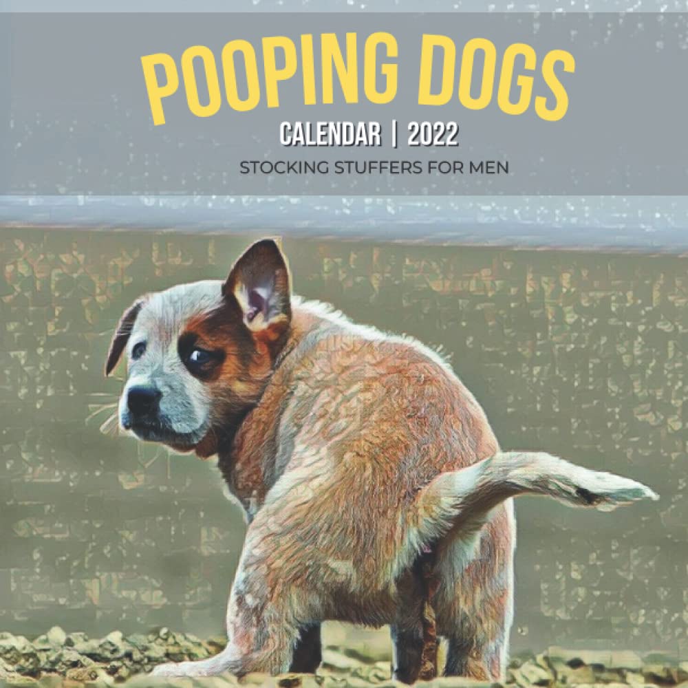 dog stocking fillers