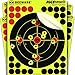 BEEWARE - 8” Adhesive Splatter Targets for Shooting - Premium Reactive Peel and Stick Shooting Targets - Indoor/Outdoor Ranges - Rifle - Pistol - Air Rifle - 22 - Pellet - BB Gun - Airsoft (10 Pack)